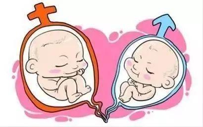 青碧生殖医学中心
